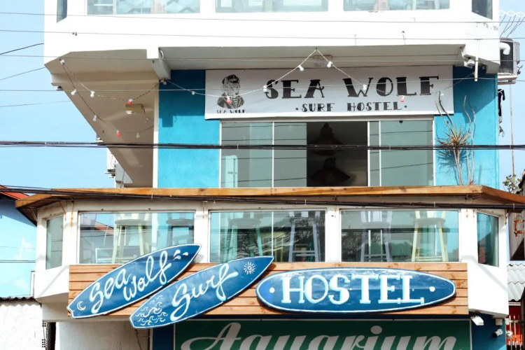 Sea Wolf Surf Club - Hostel