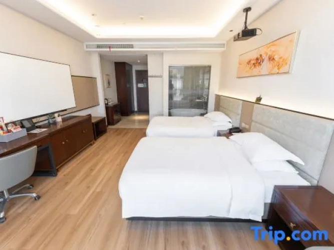 Executive Twin room