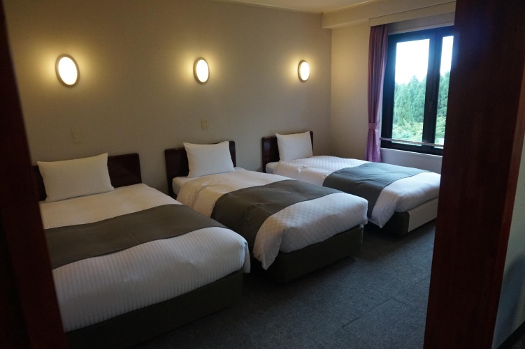 Standard Triple room