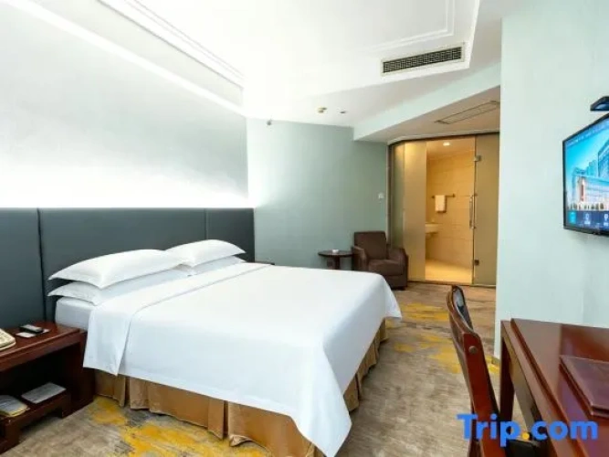 Standard Suite