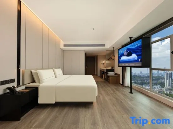 Privilege Double room with city view