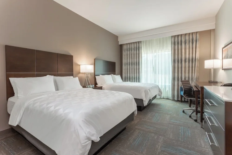 Quadruple Suite