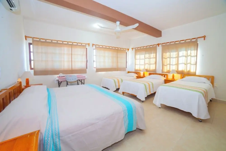 Standard Family room