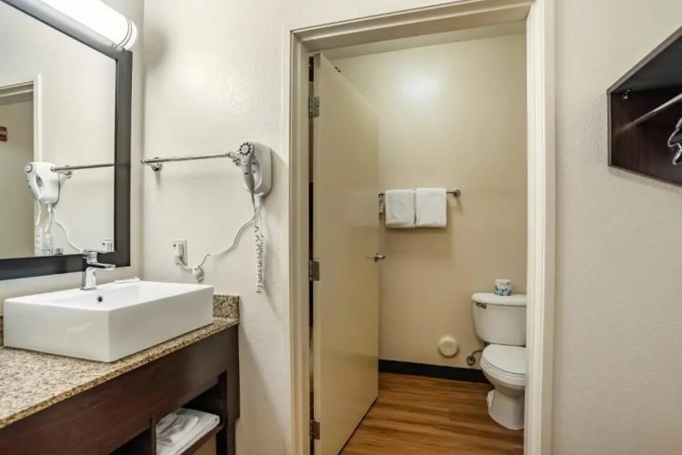 Standard Twin room with city view