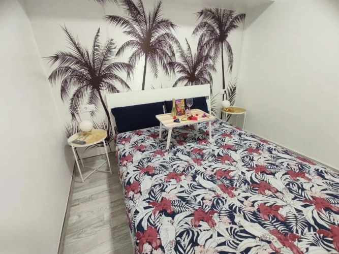 1 Bedroom Double Apartment