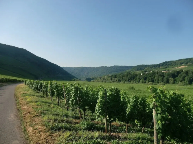 Home for 5 Persons in 1350 Year Old Mosel Town