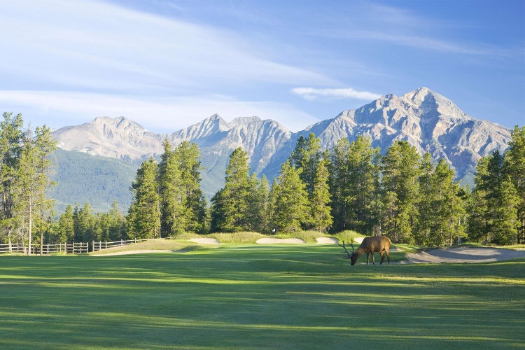 Fairmont Jasper Park Lodge photo 23