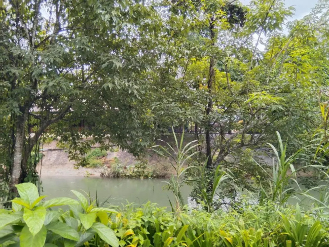 Khao Sok River & Jungle Resort