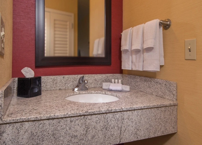 1 Bedroom Suite