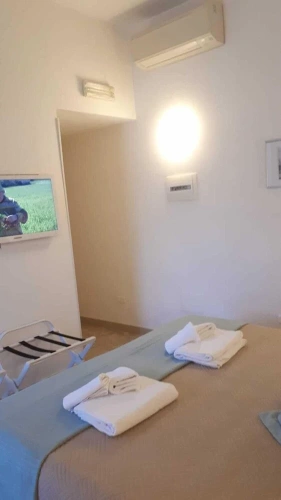 Standard Double room with garden view
