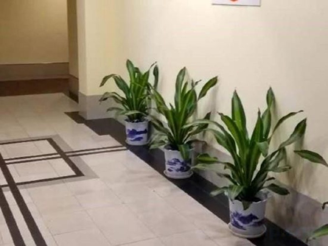 Hotel rooms