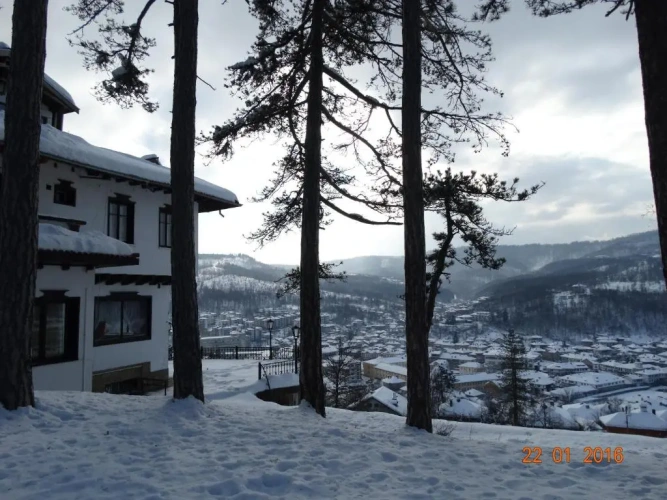1 Bedroom Cottage