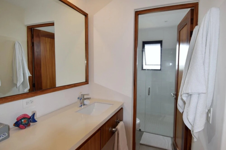Agaves 203