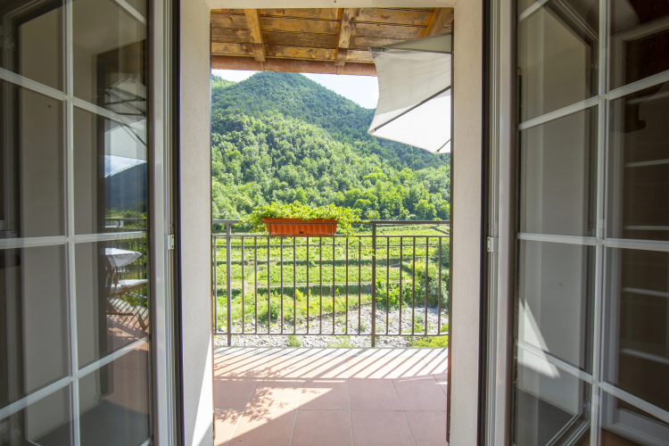 Gelsomino among vineyard
