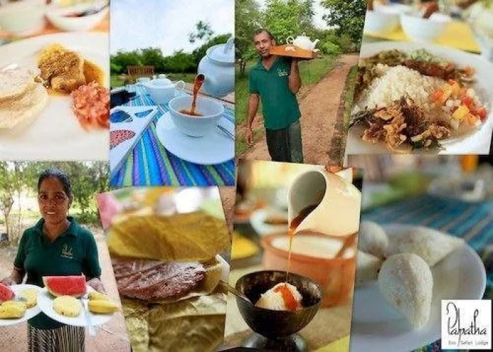 Palpatha Eco Safari Lodge