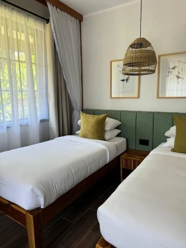 Classic Twin room with garden view