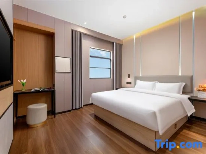 Quadruple Suite with city view