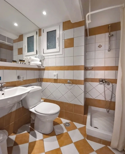 Standard Twin room with balcony and with garden view