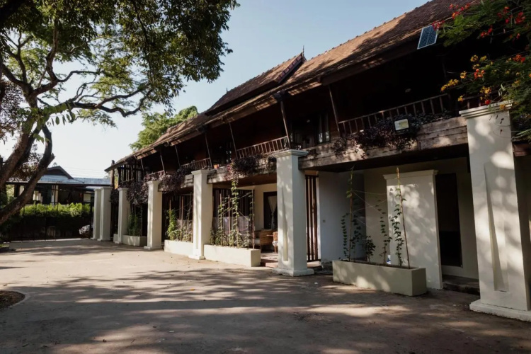 The Yard Hostel Chiang Mai