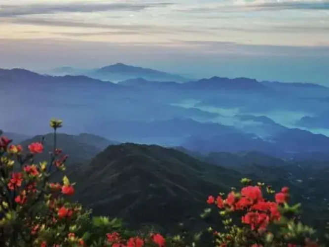 Dawei&nbsp;Mountain&nbsp;Wild&nbsp;Nest&nbsp;Starry&nbsp;Sky&nbsp;Camp