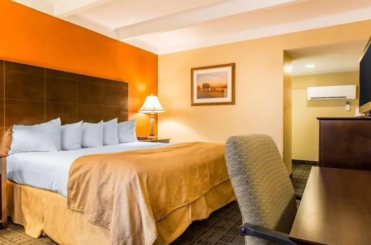 Economy Single room