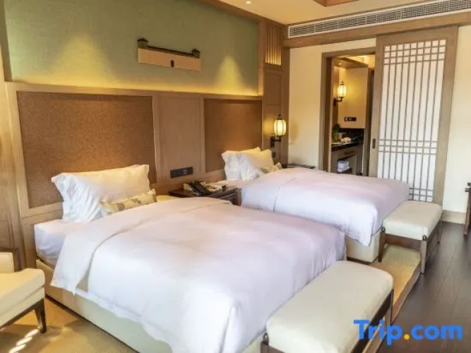 Standard Twin room with view