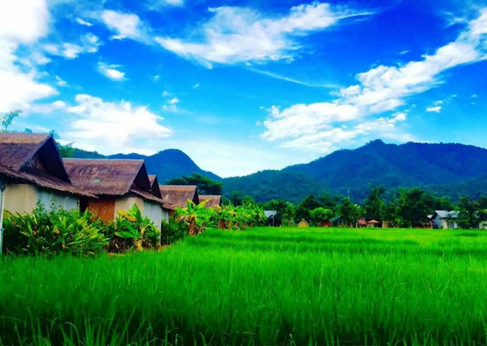 Luxury Farm House