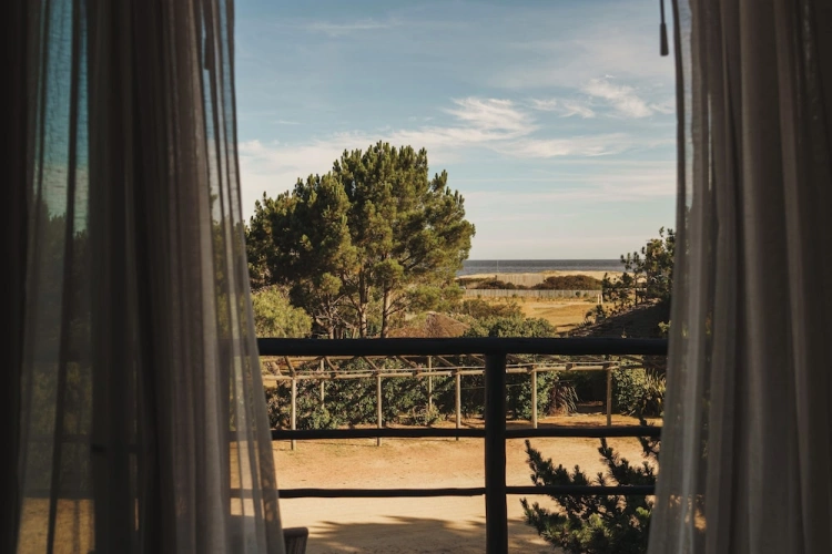 1 Bedroom Deluxe Double room with balcony and with ocean view