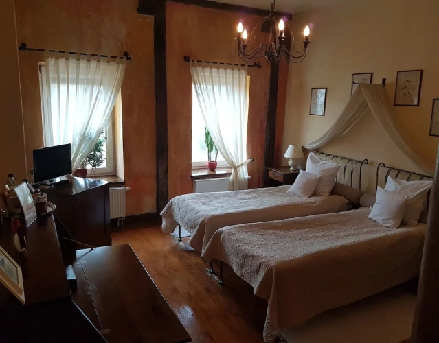 Deluxe Twin room