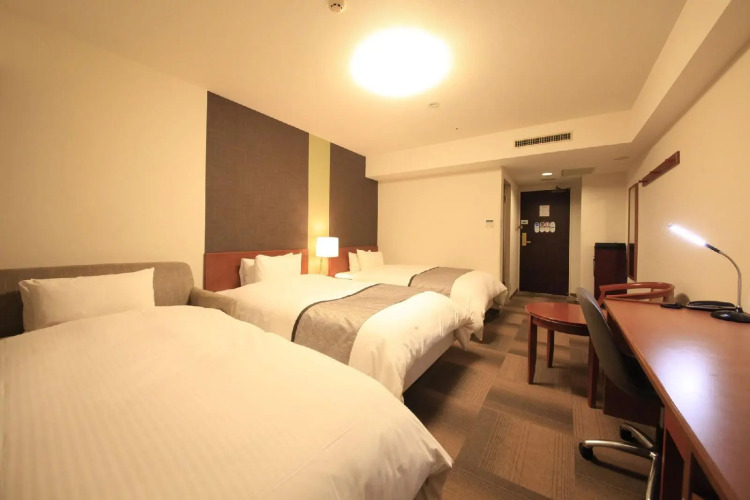 Richmond Hotel Sapporo OdoriOver view