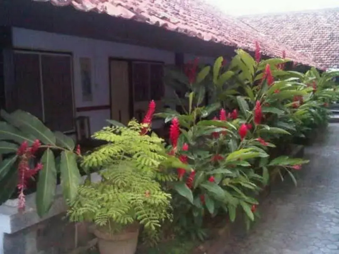 龙目岛旅游酒店(Hotel Wisata Lombok)