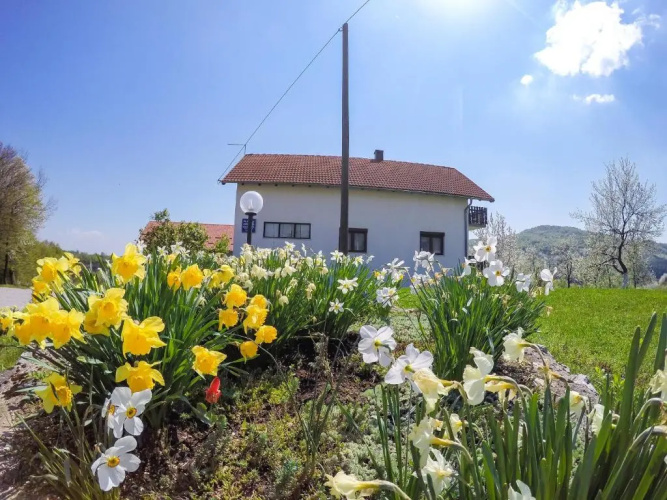 House Špehar