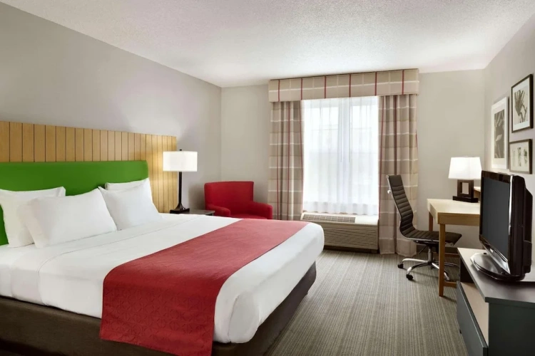 1 Bedroom Suite