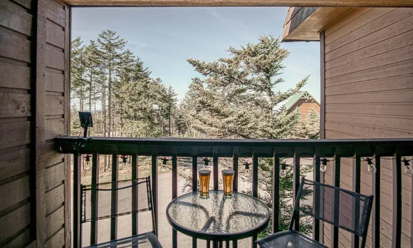 1 Br: Snowcrest 210b: Easy Access to Widow Maker Territory