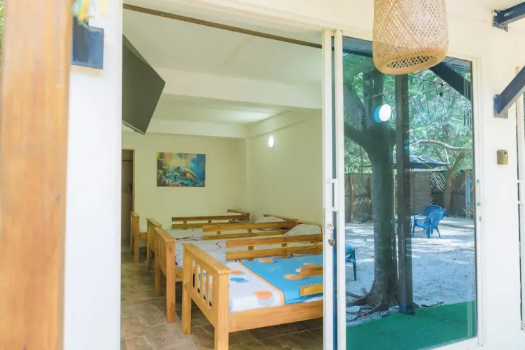 Perla Negra House Hostel