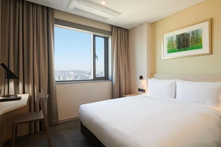 Deluxe Double room with park view