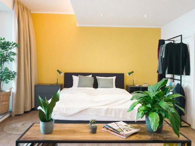 Comfort Suite