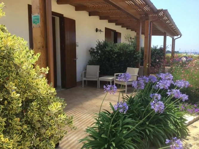 1 Bedroom Duplex Apartment