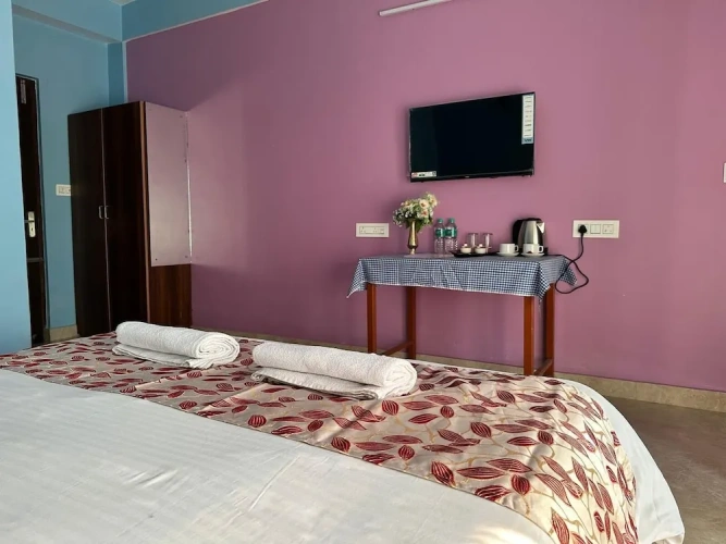 Standard Double room with balcony and with mountain view