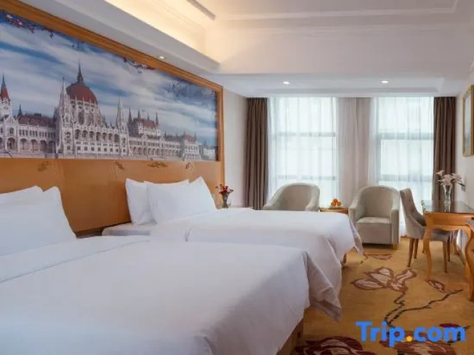 Deluxe Double room with city view