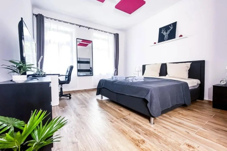 1 Bedroom Apartment