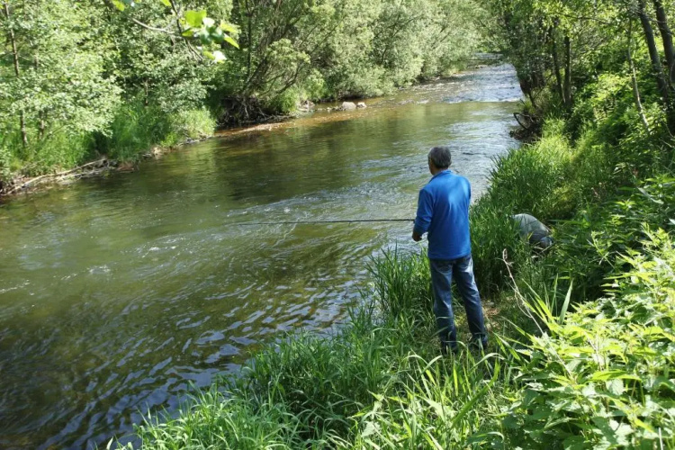 Zajazd Stodoła