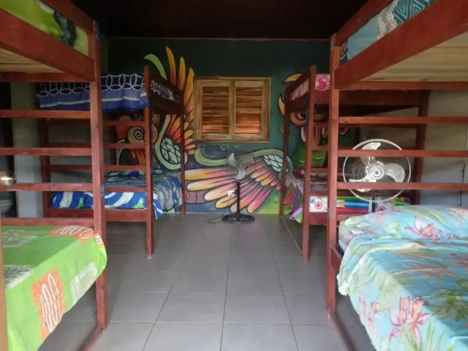 Bed in Dorm