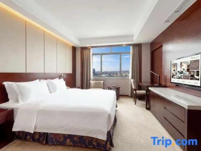 Double Family Suite