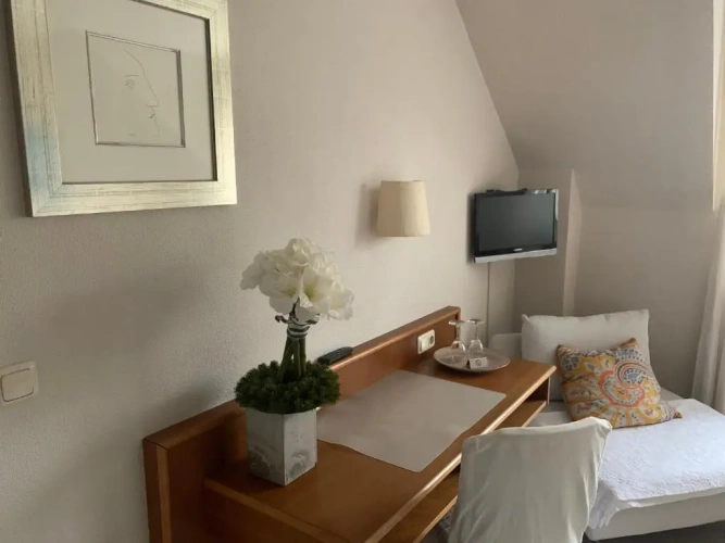 Deluxe Single room