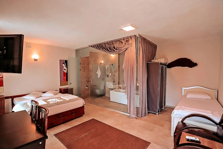Standard Triple room