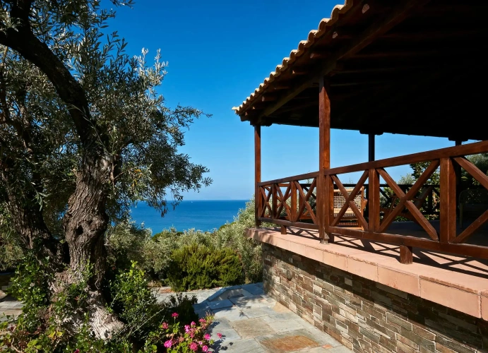1 Bedroom Villa