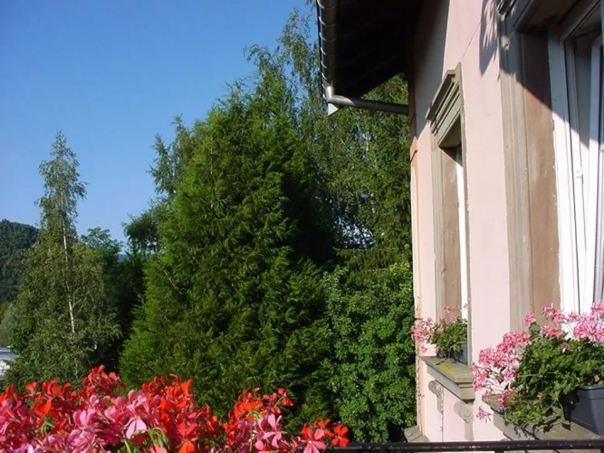 Standard Double room with garden view