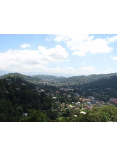 Vista Kandyan Crown
