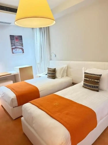 Standard Double room with balcony and with mountain view
